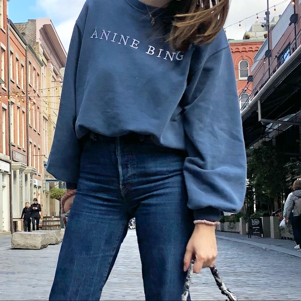 Anine Bing sweatshirt
